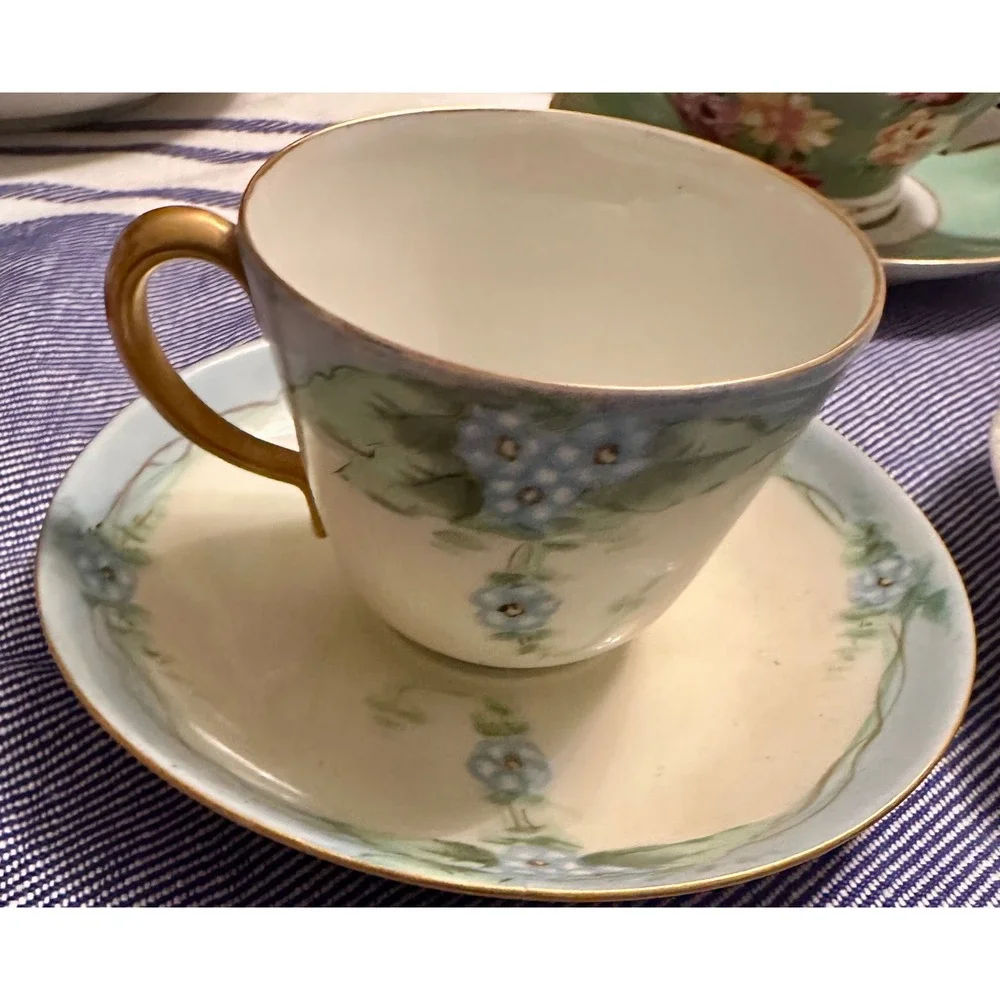 Richard Ginori Italy Hand Painted Forget Me Not Floral Tea Cup‎ Saucer